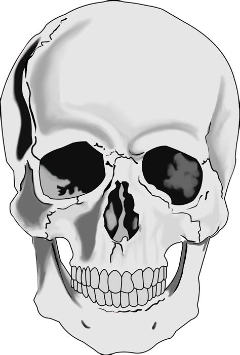skull png|png skull clipart.